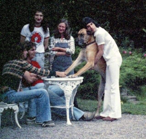 i-will-be-a-legend:Queen at Rockfield(photo : Tiffany’s mother Joan (stood up) and their great dane 