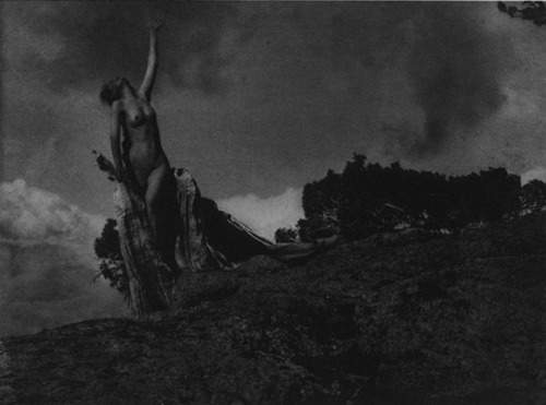 Porn chaosophia218:Anne W. Brigman - The Dying photos