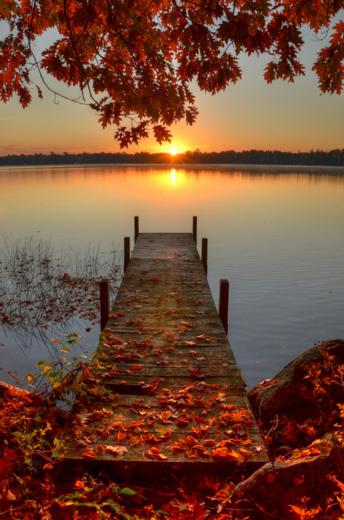 woodendreams:  (by MomOnTheRange) 