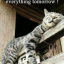 catnapsstuff