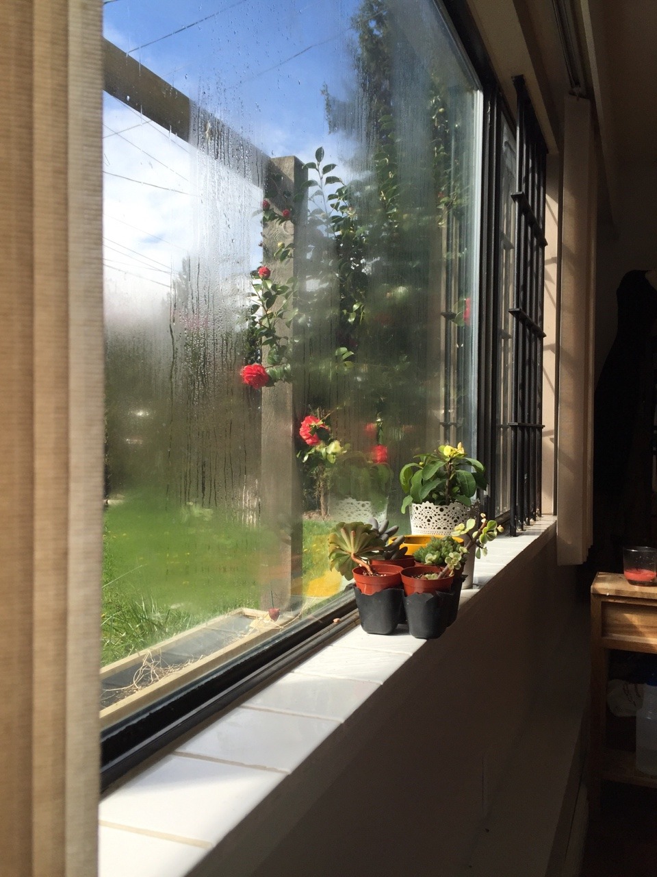 cloudiegirl:  Big windows ⛅️