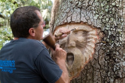 archiemcphee: Sculptor Keith Jennings carves sage and serene faces into the trunks of trees for a p