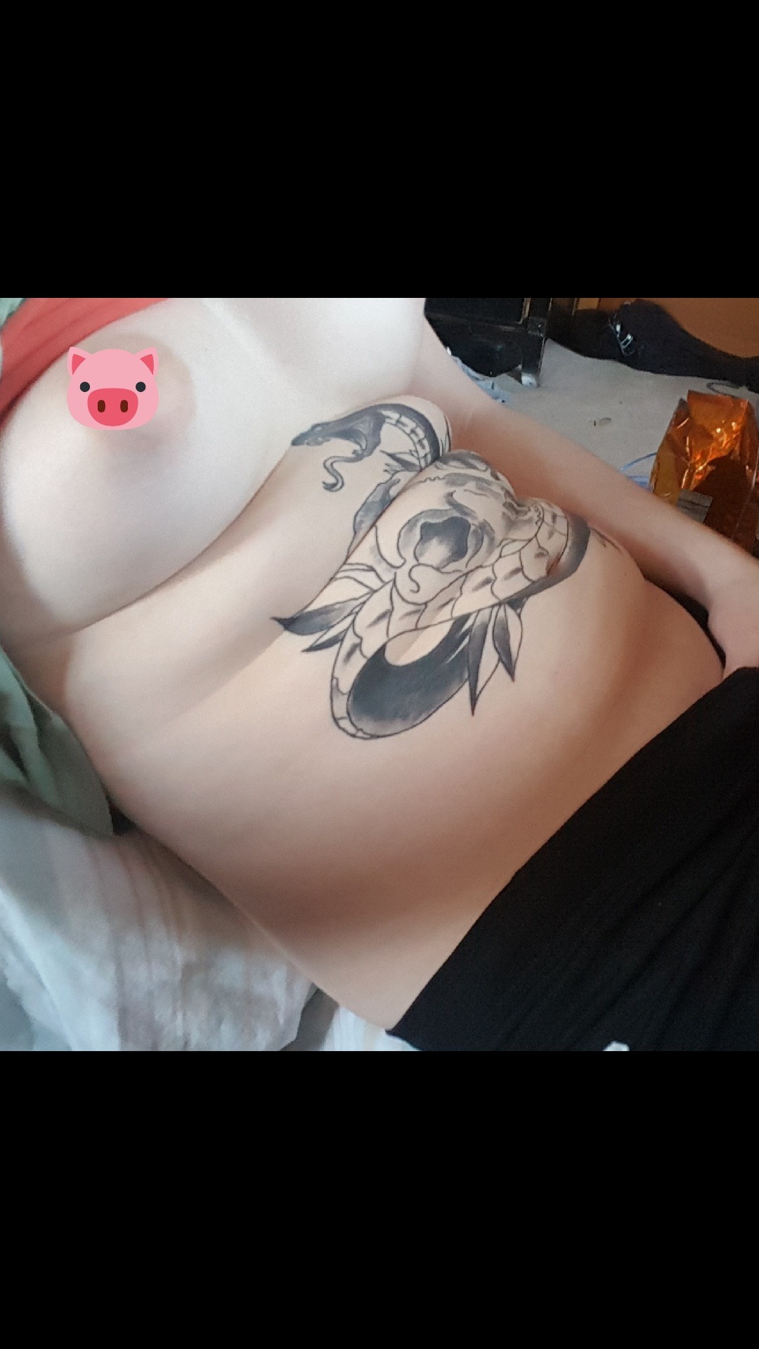 geese-police:  Belly 🤗 im new to tumblr and feeding but im stoked to meet the