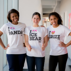 Are you #TeamGrizz, #TeamPanda, or #TeamIceBear?