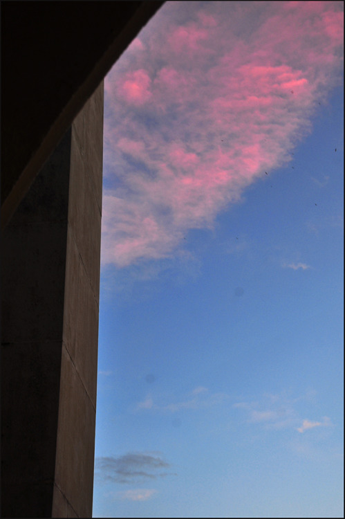 basilepesso:One Pink Delight(Come, Clouds, Caress My Sky #241 / On the Other Side of the Wall #224)S