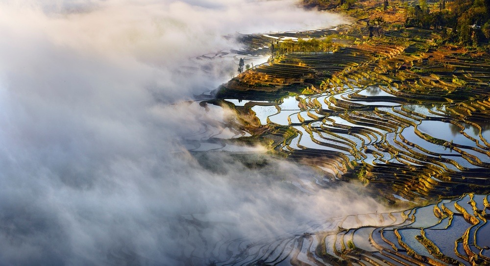 archatlas:    Beauty Paddy of China Thierry BornierThe Hani Rice Terraces, covering