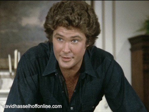 bonnie-barstow-of-flag: Michael Knight 