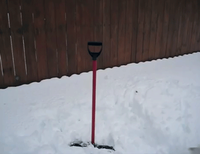 XXX sizvideos:  This dog loves to shovel the photo
