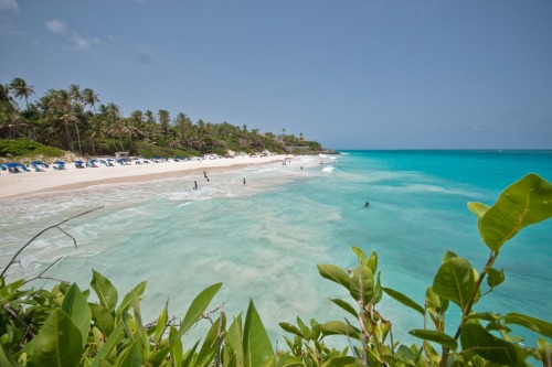 bountybeaches:  ‘Crane Beach’  Barbados  Keep reading