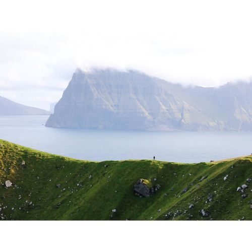 xzego: effervescentspirits:  shoeymcmooey:  Young at heart #visitfaroeislands by twheat ift.t