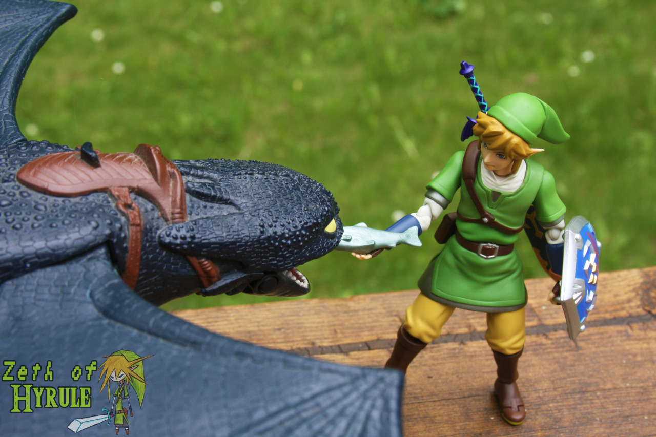 zethofhyrule:  How To Train Your Toothless! because Night Furies are cooler than