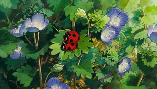 ghibli-collector:Nature - Art direction Kazuo Oga - Studio Ghibli’s Pom Poko (1994)