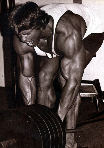 nathansidneyrobinson:  Arnold Schwarzenegger rare photos