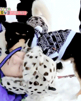 jangdogwoof:  Dongwoo + dogs 