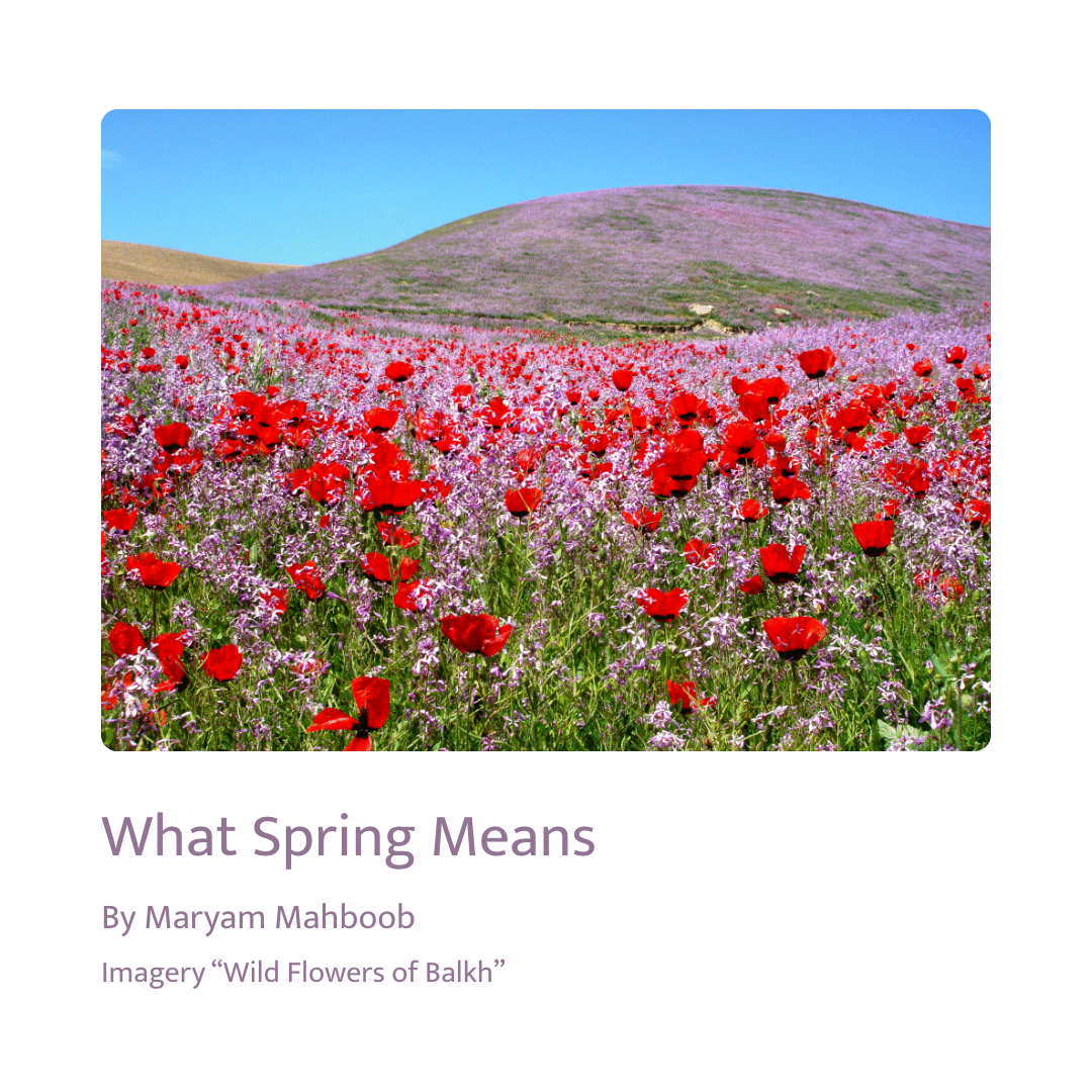 spring imagery