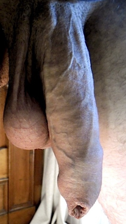 hairy-daddy: Jan’s big uncut