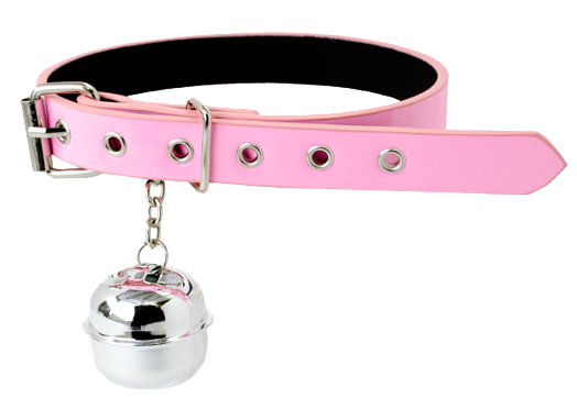 sarpedom:  guidetrainlove:  What every good pet needs  Make sure the bell matches