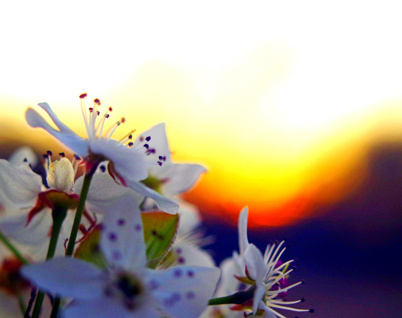 photographoria:  Spring Has Sprung Into Action! 