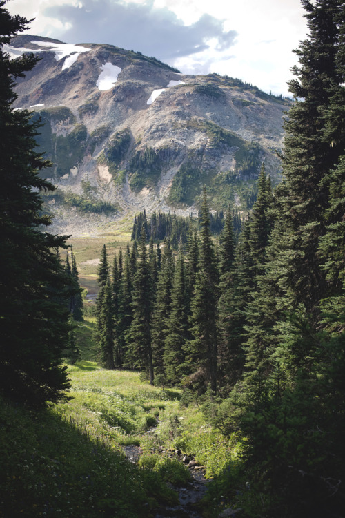 man-and-camera:  Garibaldi XV ➾ Luke Gram