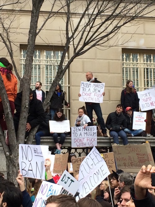 sashayed:Signs at the White House, 1/29.