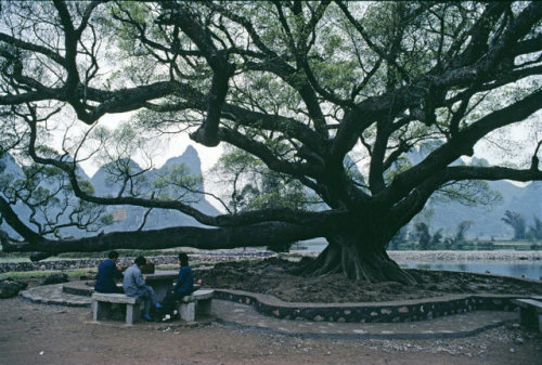 dolm:China. Guangxi province. 1980.Bruno Barbey.