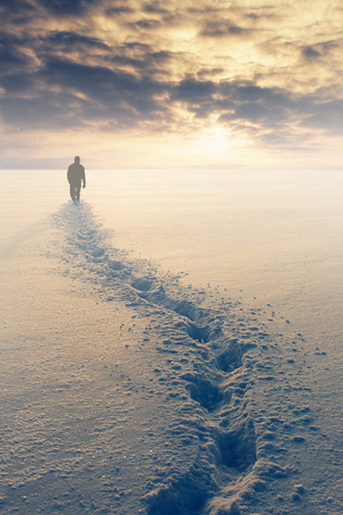 arctic-panda:  :) 