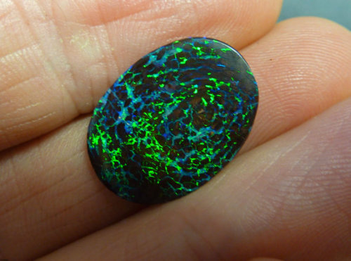 nerdsandgamersftw:normanbecile:starseed-infinite:lizardtakesflight:Australian Opals from Planet Opal