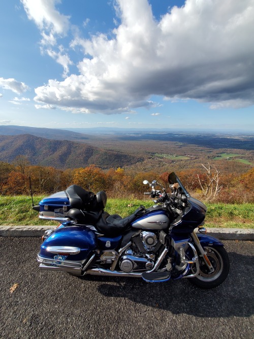 two-wheeled-therapy