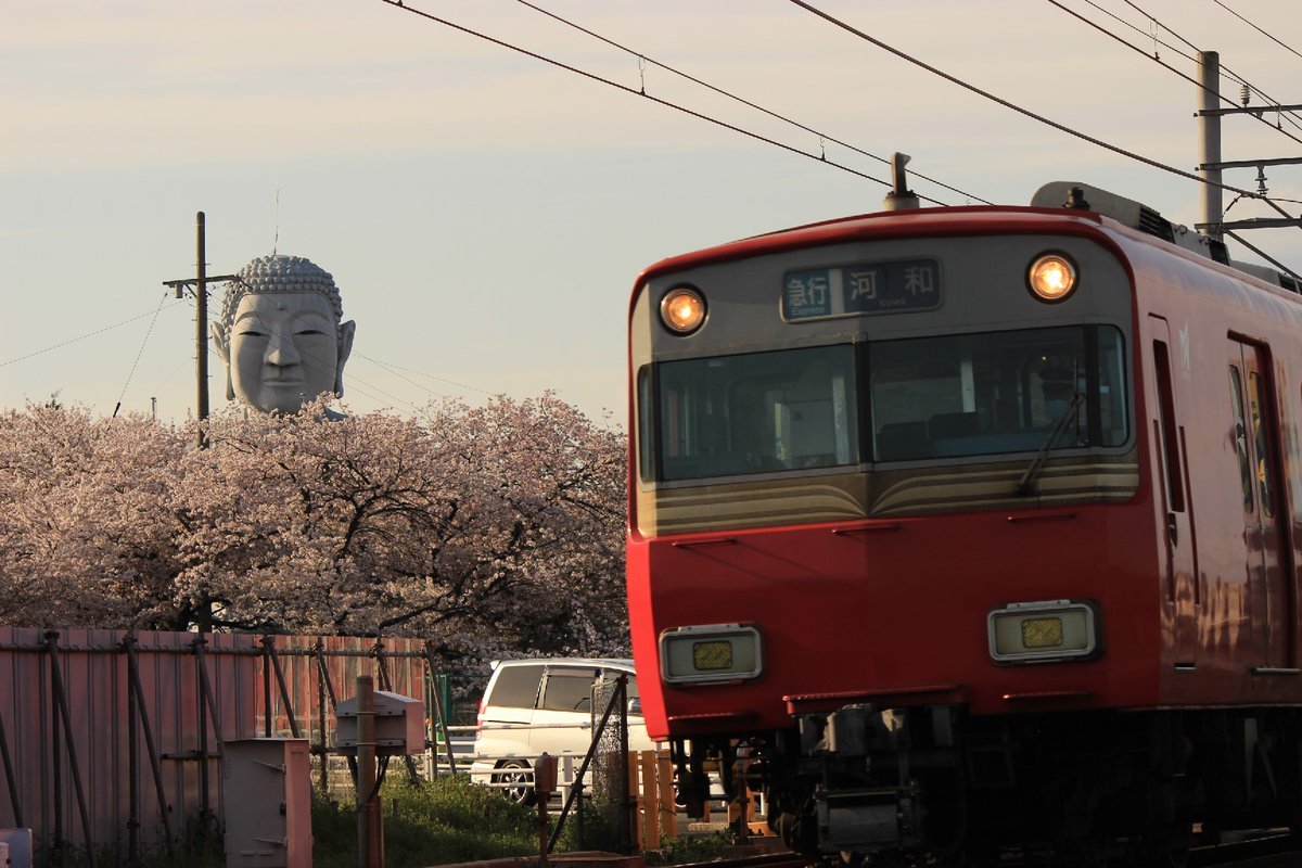 shashinmeister:  豊川のおぐりんさんのツイート: “グラサン大仏こと布袋の大仏様周辺の桜、今が見ごろです！