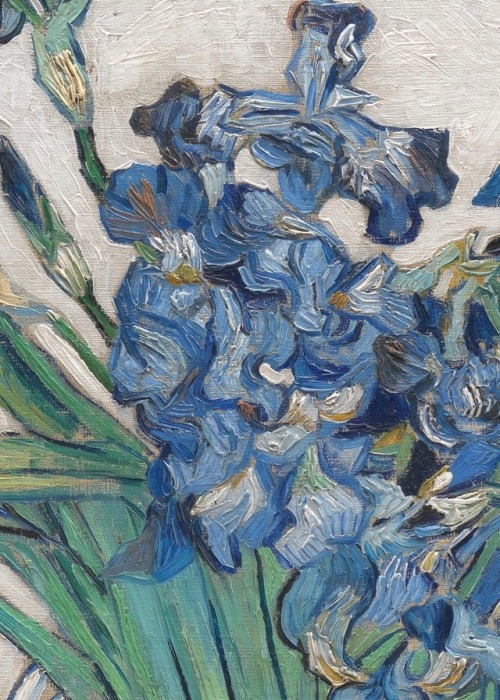 therepublicofletters: Details of flowers by Vincent van Gogh