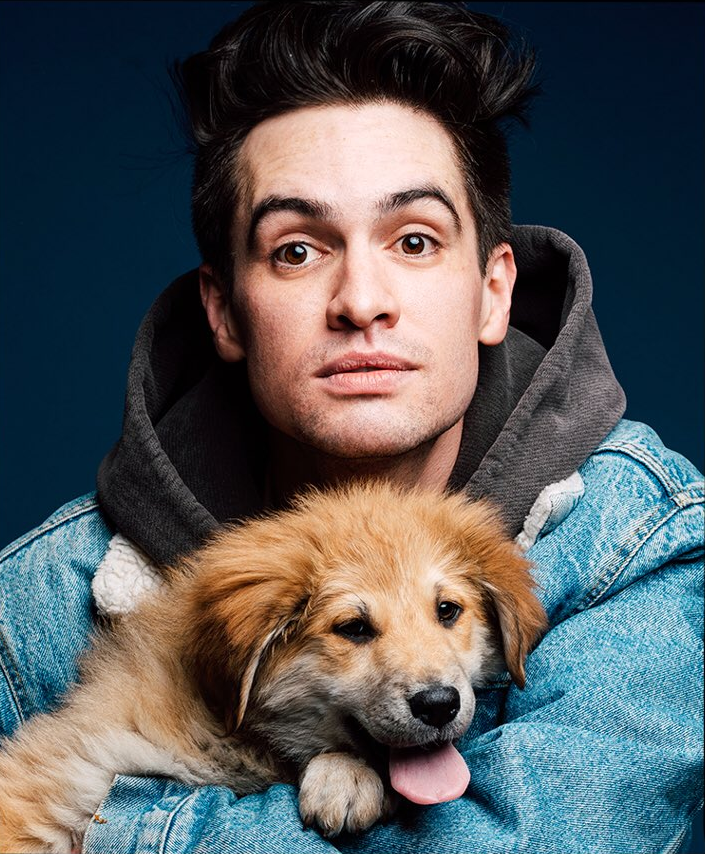 actualbrendonurie: Brendon Urie by Taylor Miller  