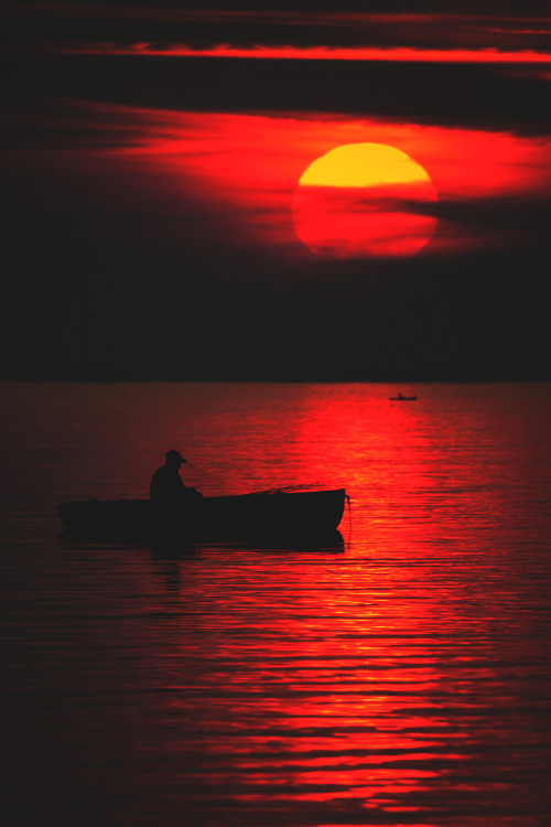 wavemotions:  The red giant  Wow XxX