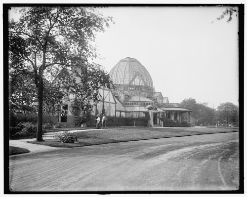  The old conservatory. Jackson Park, Chicago, Ill. Between ca. 1900-1910. 