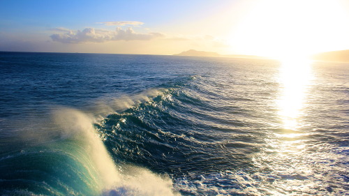 itsaonetimething:  a few more from that day china walls, oahu