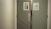 dillyt:  any evil pokémon leader ever: my plan is perfect and no one can stop me!an