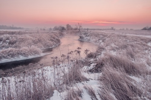 expressions-of-nature:by Katarzyna Gritzmann