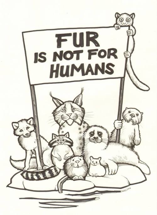 tweehondjes:vegan-art:by Andrew TilsleyGrow your own fur, you dumb motherfucker ^-^