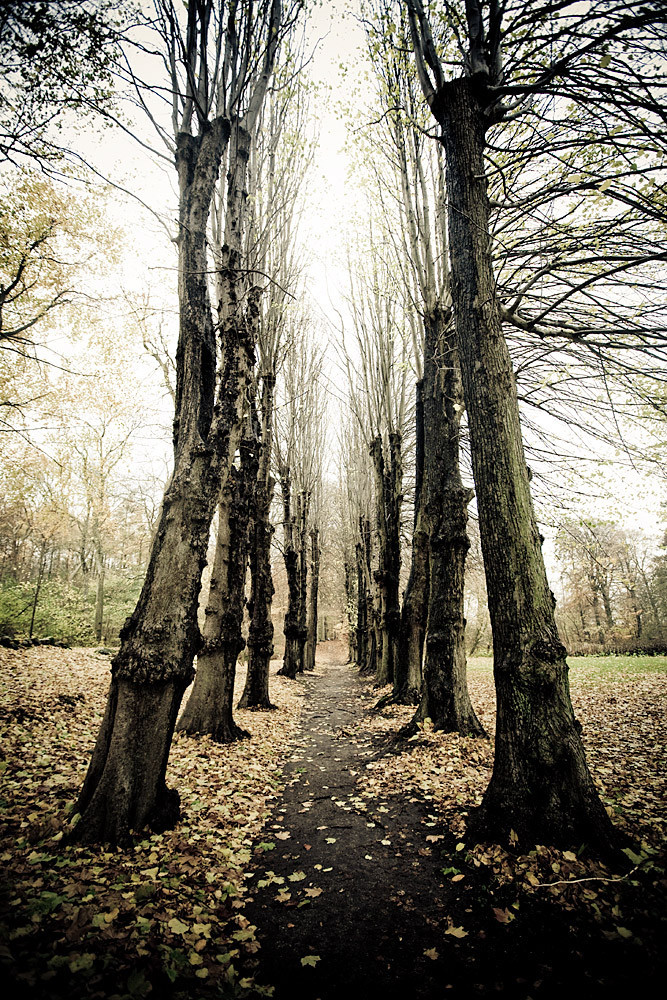  autumn coming by Rene Asmussen Photography 
