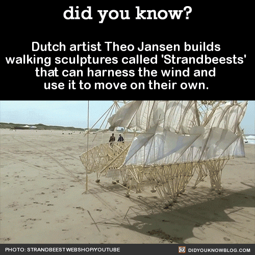 did-you-kno:  Dutch artist Theo Jansen builds walking sculptures called ‘Strandbeests’