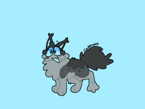 Cinderpelt :P