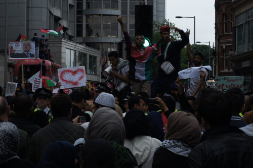 Pro Palestine ProtestPhotographed July 2014