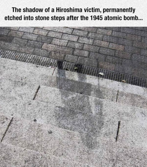 srsfunny:This Is Sad And Terrifyinghttp://srsfunny.tumblr.com/