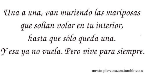 UN SIMPLE CORAZÓN
