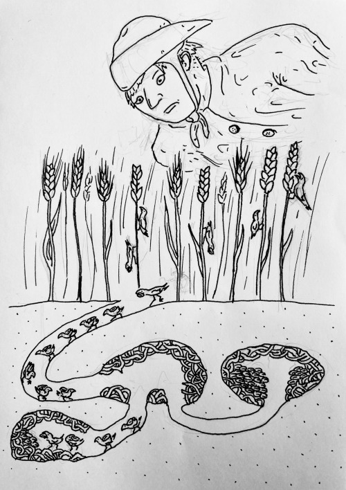 A pen and ink drawing of a cross-section through the ground. There is a tunnel leading from the surface to a central chamber, and two further tunnels branch off into two separate chambers. Each of these chambers is lined with a nest, made of twigs or possible roots. The chamber to the right is mostly full of grain, the one on the left is only part full. On the surface of the ground are growing ripe barley and wheat; the difference between the two is that the barley grains have long bristles (know as awns), and the wheat grains do not.
On the wheat, there are tiny stylised birds climbing up and down the stalks. The ones climbing down are each carrying a single grain of wheat in their beaks, and there are grains missing from the wheat ear which shows where they have removed them. There is a procession of these tiny birds that extends from the ground into the tunnels, and into the left-most storage chamber; as they go into the tunnels, they start carrying the grains on their backs, but when they reach the storage chamber they remove them from their backs and place the grains with their beaks.
Above all this appears the head and torso of a human figure in medieval dress, wearing a backturned bycocket (a brimmed hat where the back is turned up, and pointed at the front - or in this case, the rear - a little like a bird's beak) and a cloth coif tied below the chin. This figure appears to be leaning over and observing the industry of these tiny birds, though their mouth is slightly downturned.