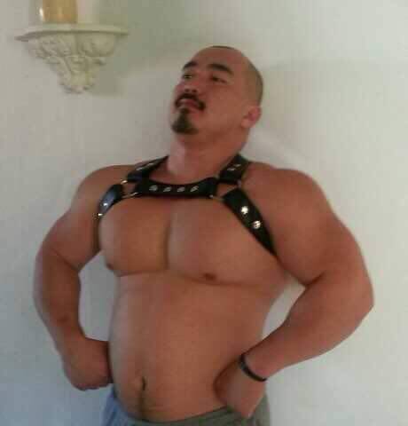 The bear I like
