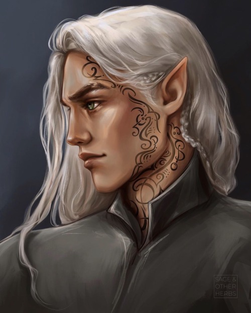 Rowan Whitethorn - Throne Of Glass