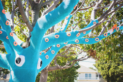 itscolossal:  A Yarn Bombed Tree Squid