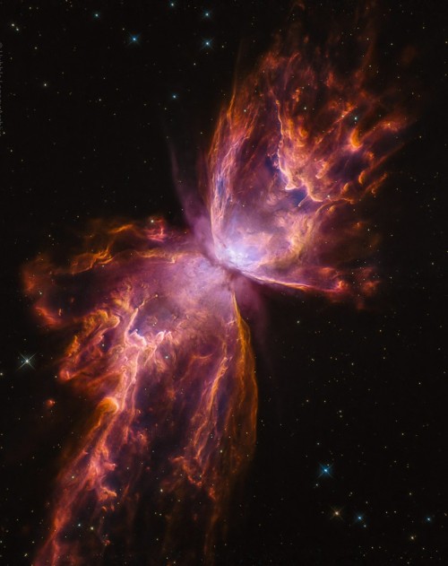 the-wolf-and-moon:NGC 6302, Wings of the Butterfly
