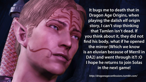 dragonageconfessions:Confession:  It bugs me to death that in Dragon Age Origins, when playing the d