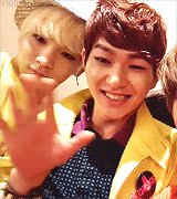 violraptaer:  A minute of our precious SHINee in their natural habitat  